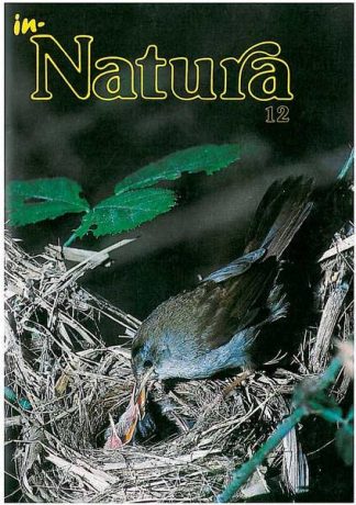 In-Natura 12