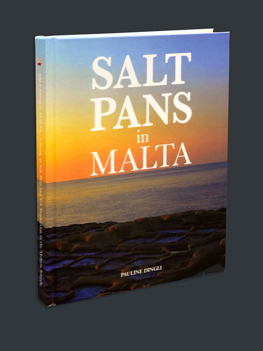 Salt-Pans-3d-BDL-Books