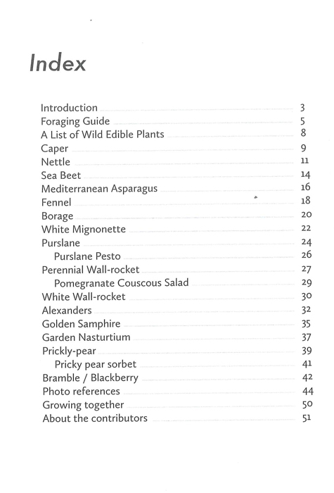 Edible Wild Plants - Image 2