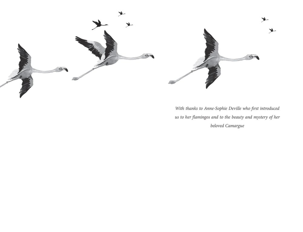 Flamingo Boy - Image 3