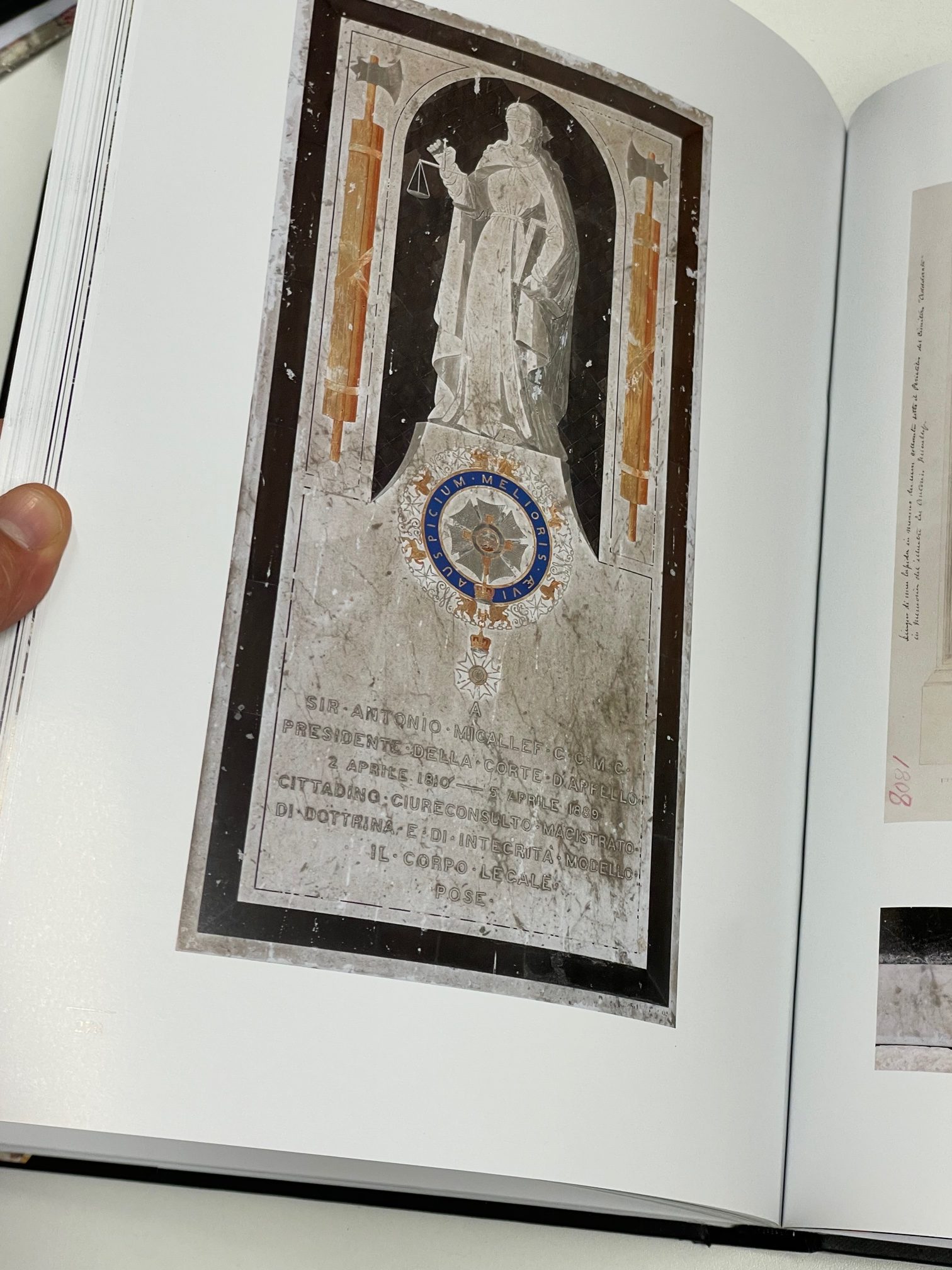 The Darmanin Artists - Image 8