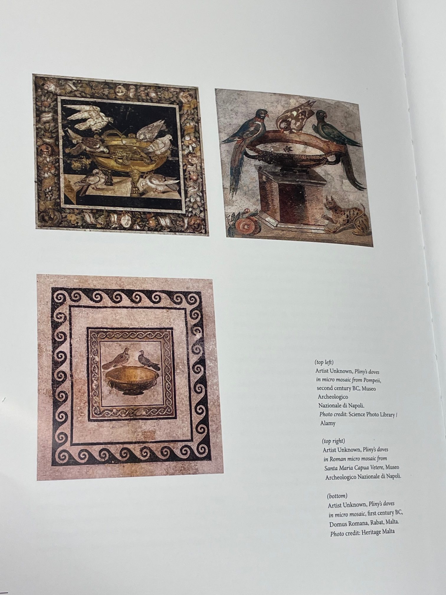The Darmanin Artists - Image 7