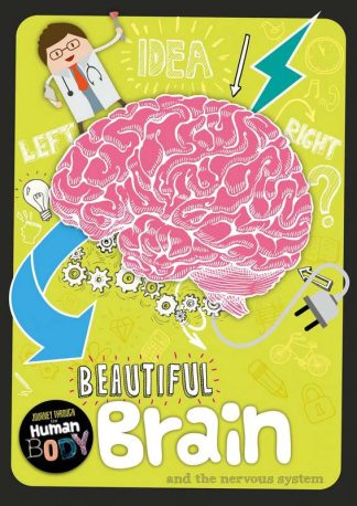 9781912502318 brain and the nervous system