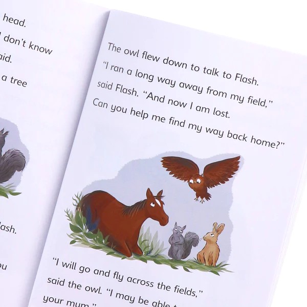 Reading Chanpion シリーズ Reading Champion For Developing Readers (Ages 5+) - BDL Books