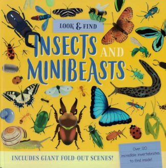 Fold-out look and find out about Insects - Front