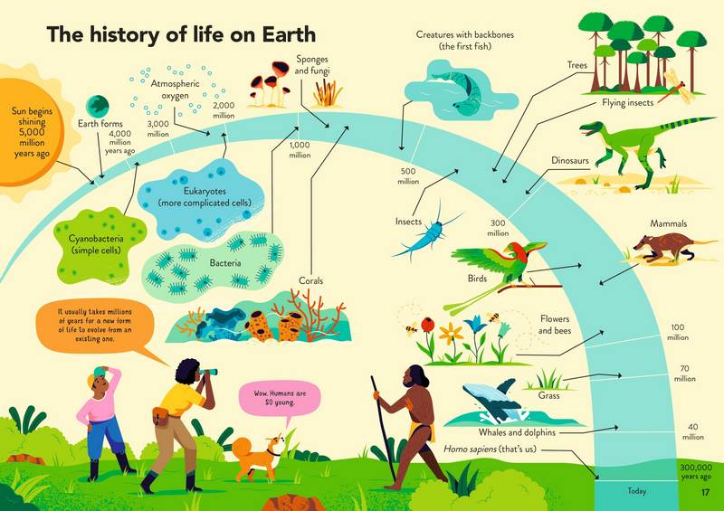 Ecology for Beginners - Image 2