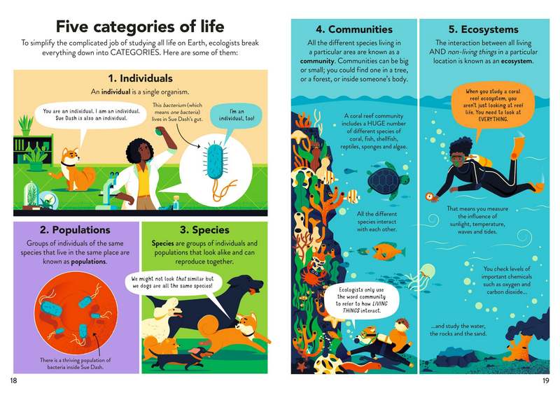 Ecology for Beginners - Image 4