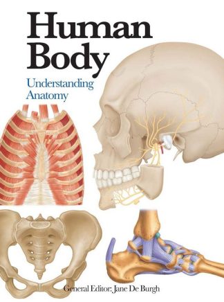 Human Body