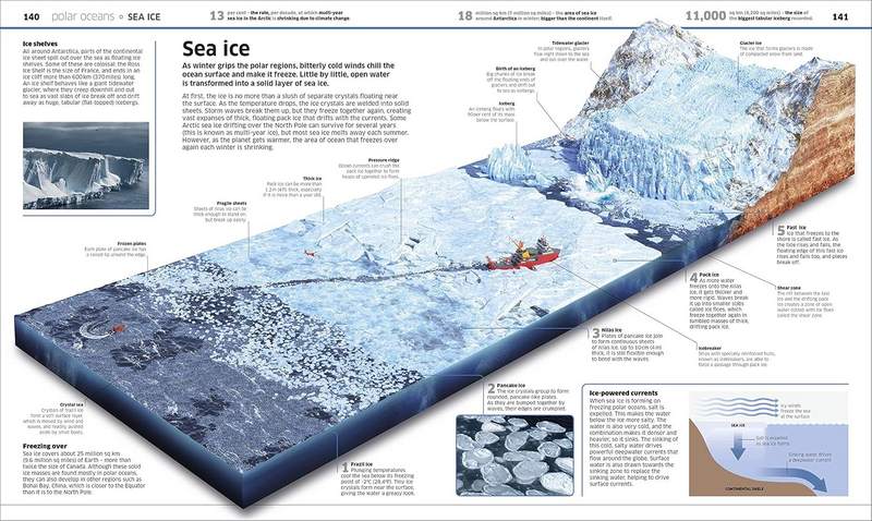 Knowledge Encyclopedia: Ocean! - Image 3