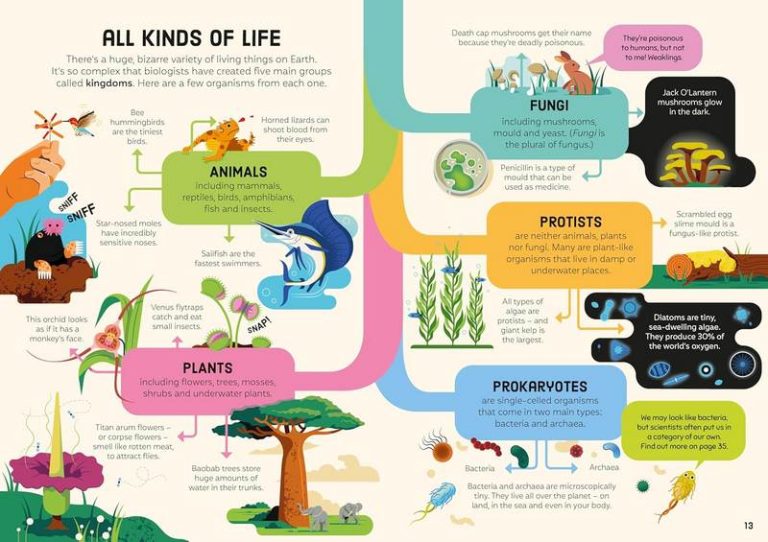 Usborne Biology for Beginners - BDL Books
