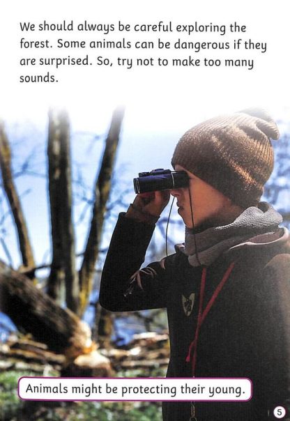 BookLife Readers Level 8 Non-Fiction: Exploring the Forest - BDL Books