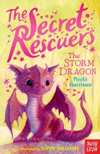 The Storm Dragon - The Secret Rescuers